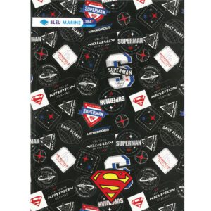 CAHIER BROCHE 21*29.7 384P SEYES BLEU MARINE