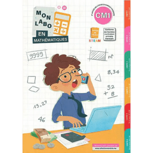 MON LABO EN MATH NIVEAU 4