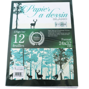 PAPIER A DESSIN BLANC SYLVER 170G